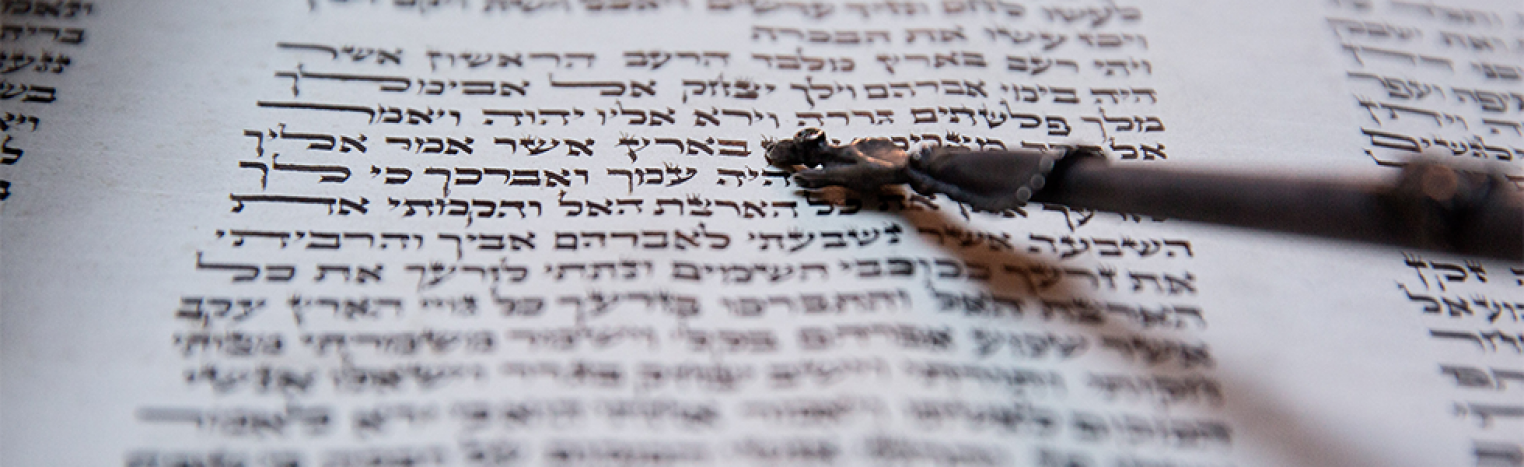 Kodesh /Jewish Resources